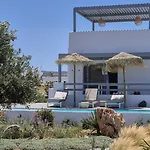 Villa The Nine Graces- Celine, Elegant House With Pool, Garden & Rooftop Kastraki (Naxos)