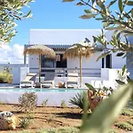 The Nine Graces- Celine, Elegant House With Pool, Garden & Rooftop Kastraki (Naxos)