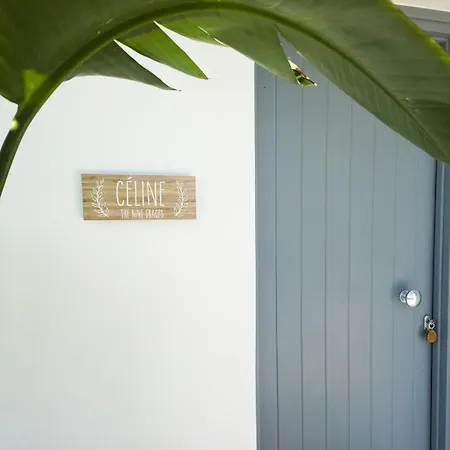 The Nine Graces- Celine, Elegant House With Pool, Garden & Rooftop Villa Kastrákion
