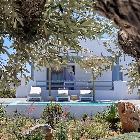 The Nine Graces- Celine, Elegant House With Pool, Garden & Rooftop Villa