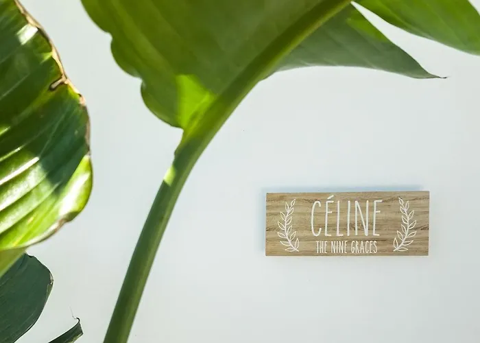 The Nine Graces- Celine, Elegant House With Pool, Garden & Rooftop *