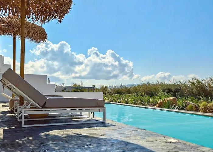 The Nine Graces- Celine, Elegant House With Pool, Garden & Rooftop Villa Kastraki (Naxos)