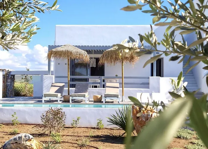 The Nine Graces- Celine, Elegant House With Pool, Garden & Rooftop Kastraki (Naxos)